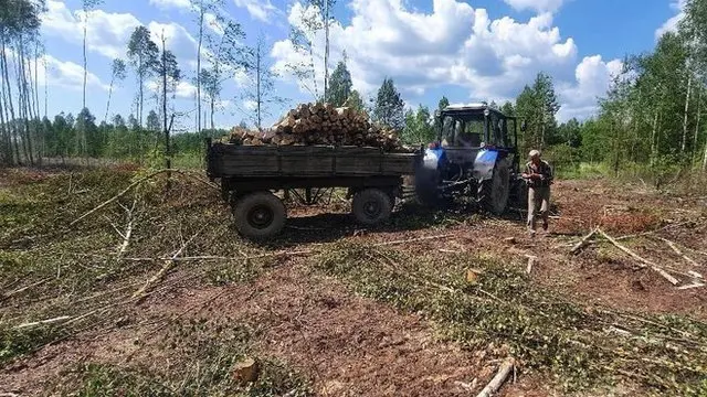 Рязан яқинидаги жой