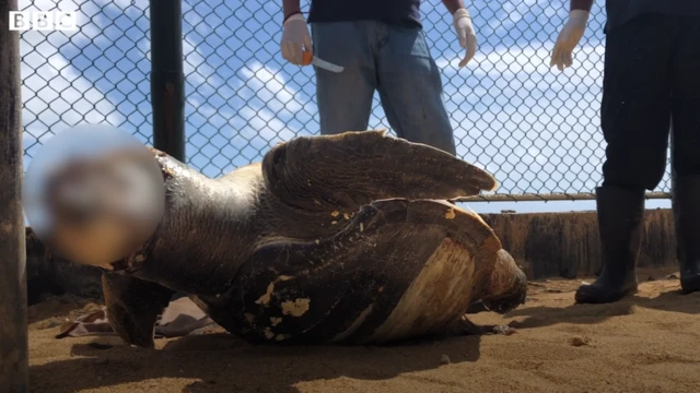 විවිධ ක්ෂේත්රවල විශේෂඥයින් 41 දෙනෙක් සහ අදාළ ආයතන 14ක පමණ සහභාගිත්වයෙන් අදාළ වාර්තා සකස් කිරීම සිදු කෙරේ.