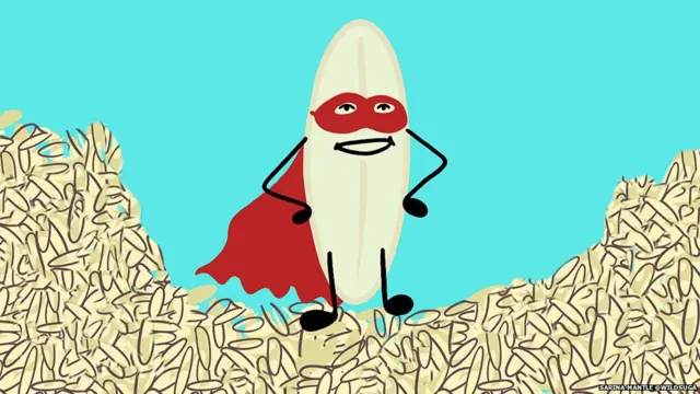 A grain of rice dressed as a superhero , ਵਾਤਾਵਰਨ ਤਬਦੀਲੀ