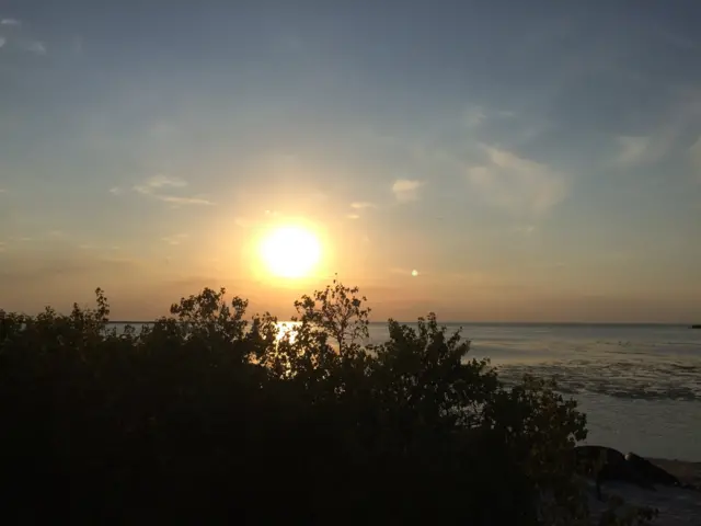 Бердянська коса