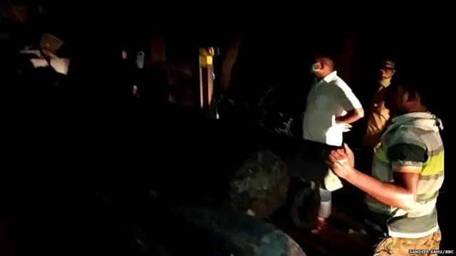 वन विभाग की टीम