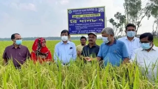 कृषी प्रदर्शन