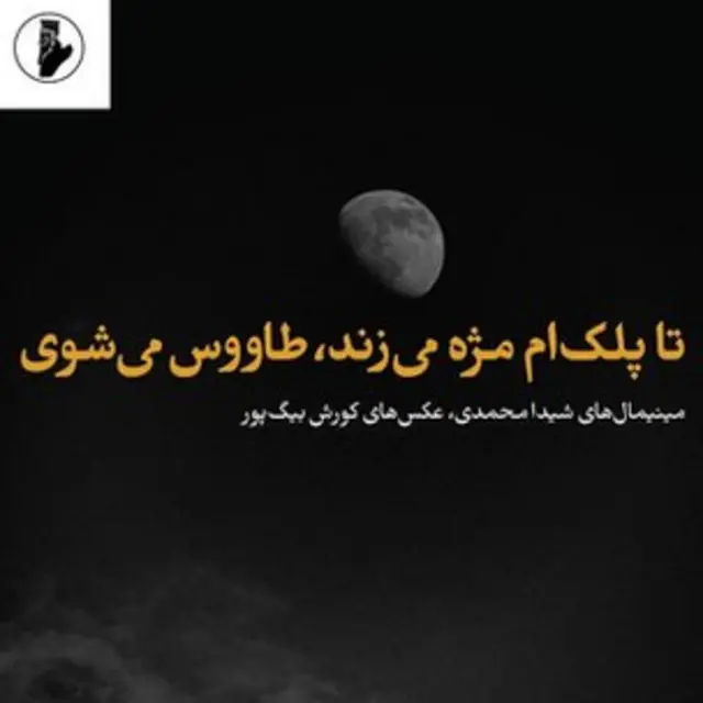 تا پلکم مژه می‌زند، طاووس می‌شوی -اِرواین- ۱۳۹۵