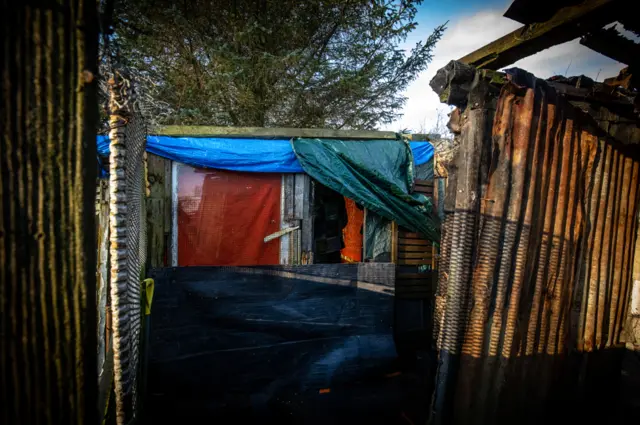 The old pigeon shed