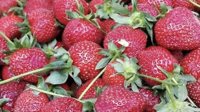 На друштвеним мрежама можете наћи групе продаваца из свих делова Србије