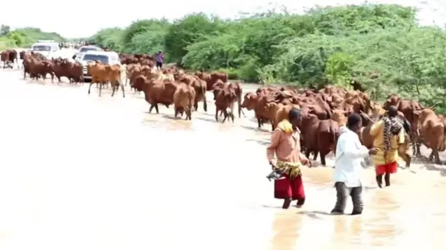 Saameyn dad iyo duunyo gaartay ayaa ka dhalatay fatahaadaha wabiga Shabeelle