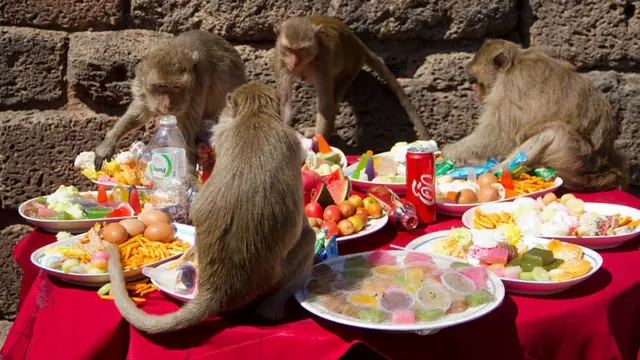 โต๊ะจีนลิง จ.ลพบุรี