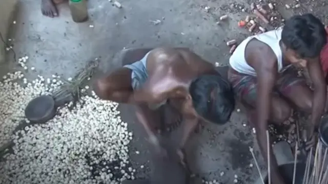 مکھانہ کی کاشت