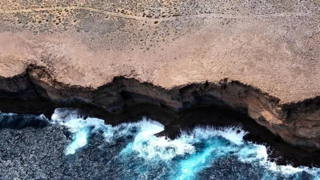 （圖片來源：Fleur Bainger）