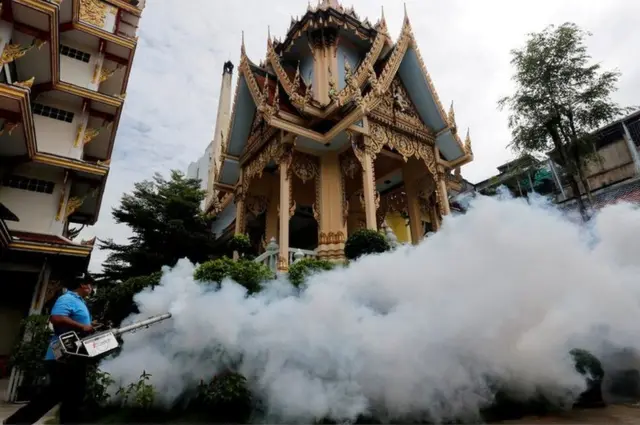 Обработка инсектицидом