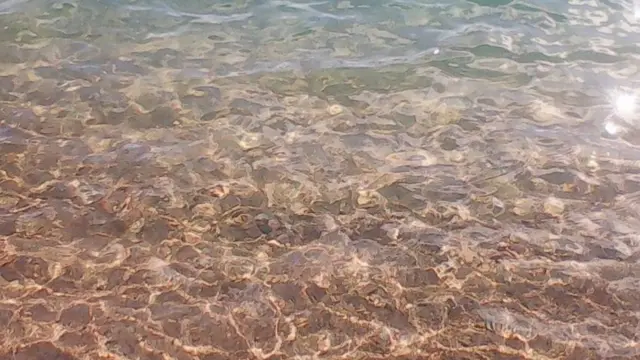 Быйыл Ысык-Көлдө туристтик сезондун ачылышы 6-7-майда болоору белгилүү болду.