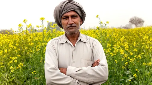 सांकेतिक तस्वीर