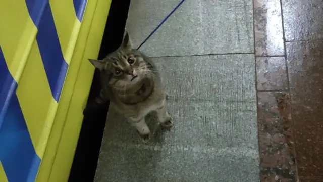 метро Харків