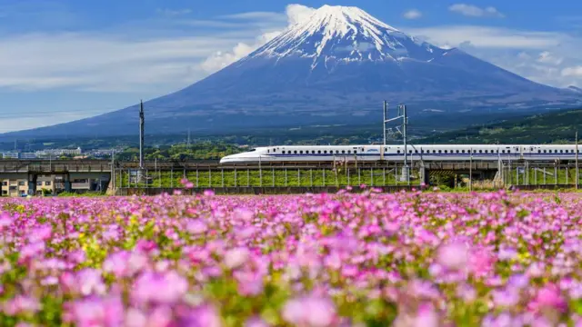 O trem-bala Shinkansen passando em frente à montanha Fuji