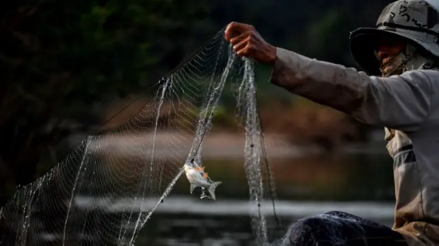 แม่น้ำโขง