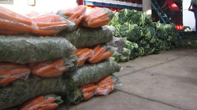 Vegetales de Almilonga.