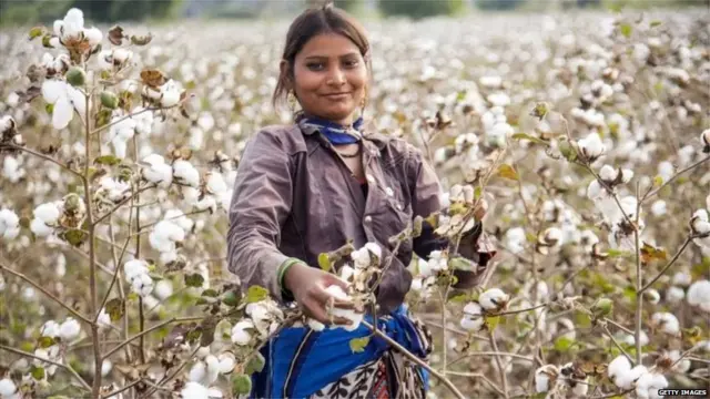 प्रातिनिधिक फोटो