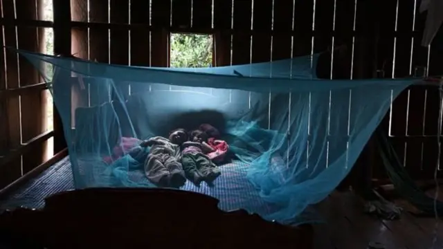 mosquito net