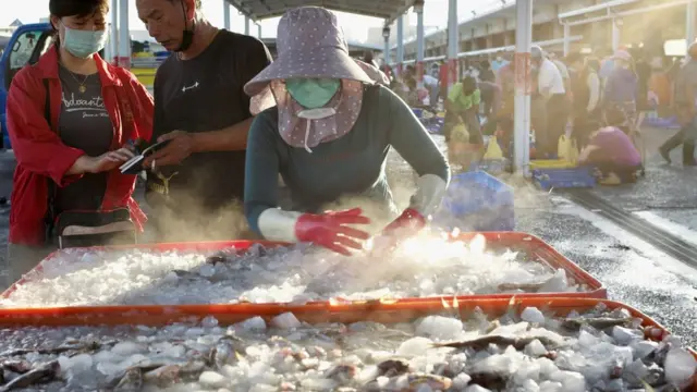 This photo taken on May 31, 2022 shows seafood for sale along the Magong fish harbour on the Penghu islands. - In the sleepy fishing towns on the Penghu islands, many locals are sanguine despite the frequent -- and noisy -- reminders of the military threat by neighbouring China. - TO GO WITH Taiwan-China-US-politics-military-Penghu,SCENE by Sean CHANG (Photo by Sam Yeh / AFP)