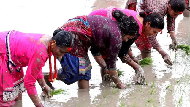 रोपाइँ