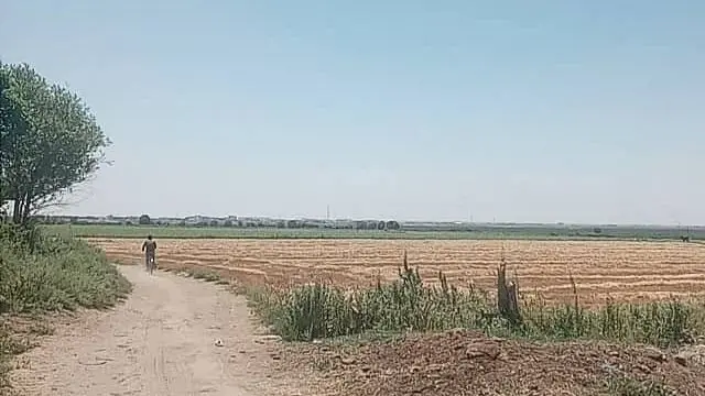 Сурхондарёда