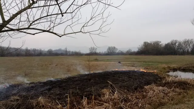 Фото згарища з долини нарцисів