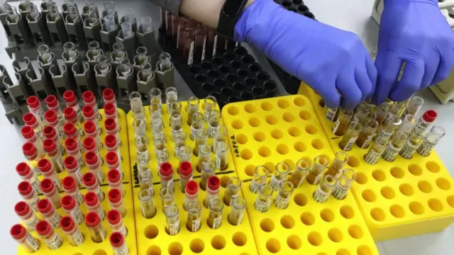 A female scientist andling samples at an in vitro general clinical research laboratory.