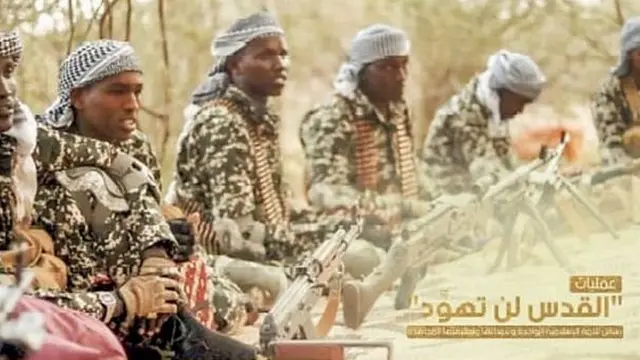 বর্তমানে আল-কায়েদার সবচেয়ে বড় এবং শক্তিশালী শাখা হচ্ছে আল-শাবাব।