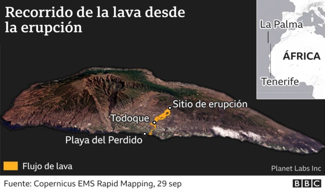 Grafico