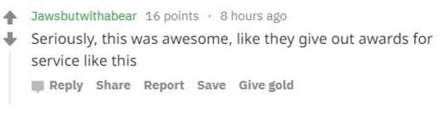 Reddit comment reading: "Seriously, this was awesome, like they give out awards for service like this"