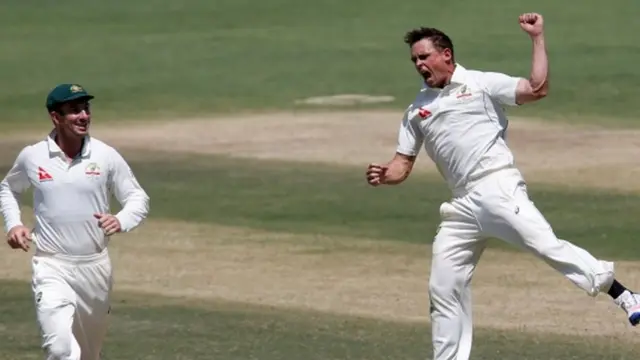 स्टीव ओकैफी