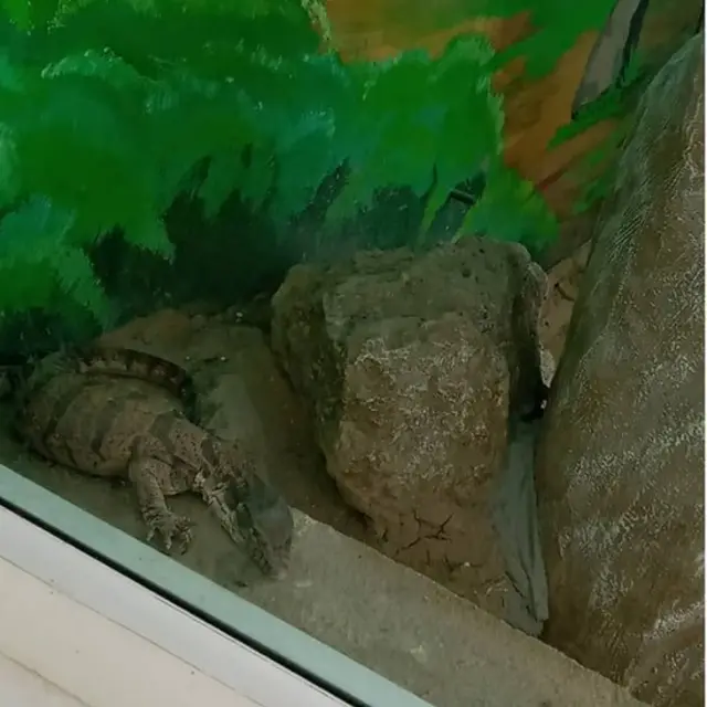 Termiz Hayvonot bog'i