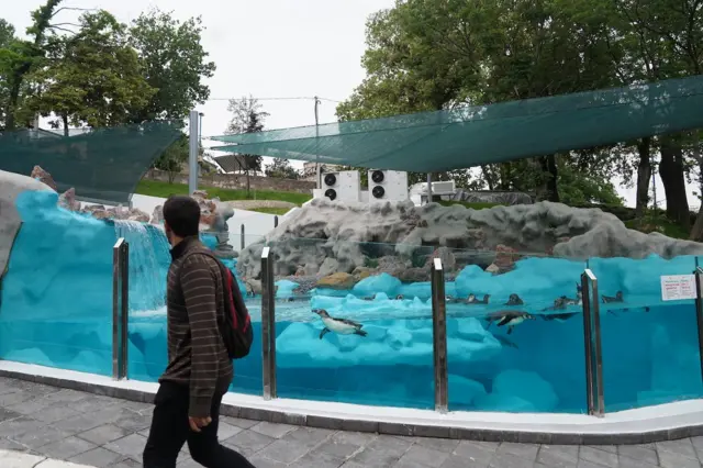 pingvini beograd pingvinarijum