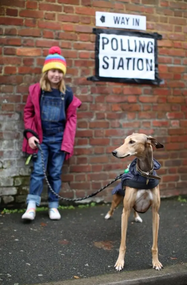 หมาที่เขตเลือกตั้ง