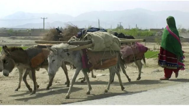 ښځې