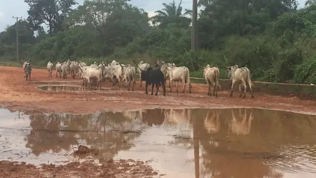 Ụzọ Ọka na Amansea