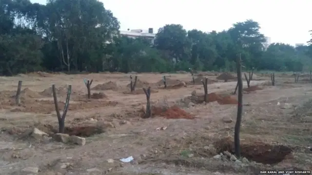 ਦਰਖ਼ਤਾਂ ਦਾ ਟਰਾਂਸਪਲਾਂਟ