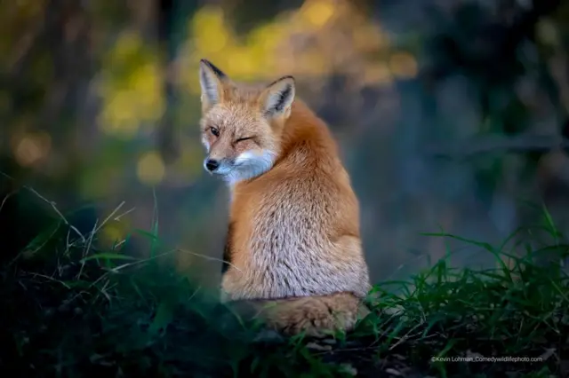 ‘ጸጥ ከም ዘይረኣኹም!’