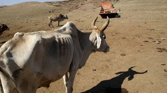 પાણીની અછત