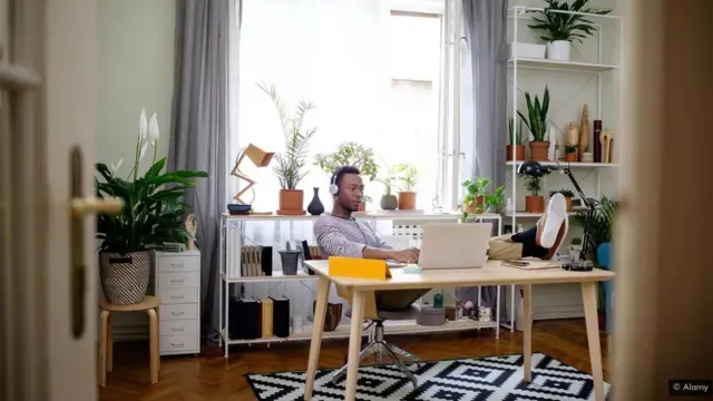 평온함과 생산성을 위해 실내 식물이 반드시 필요하다는 인식이 확산되고 있다