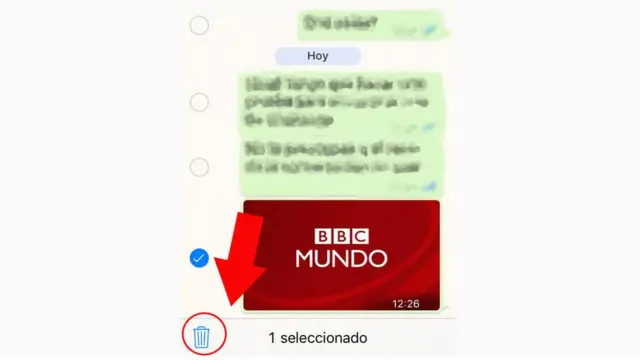 Paso 3: elimina la foto