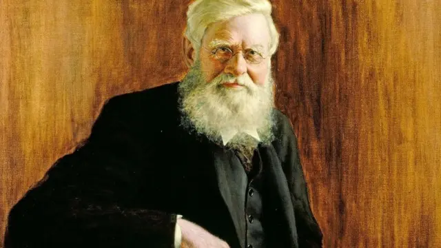 The Natural History Museum