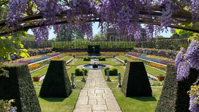 沒有多少人有幸目睹今年的花園景觀