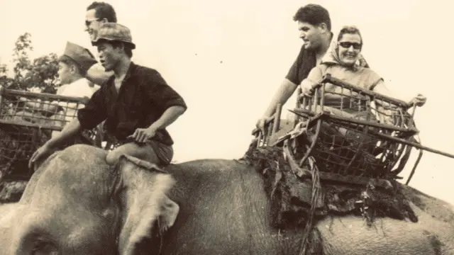 Nada Marinkovic jase slona