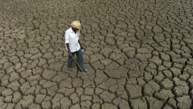 விவசாயிகள் வலியுறுத்தும் எம்.எஸ். சுவாமிநாதனின் அறிக்கை என்ன கூறுகிறது?