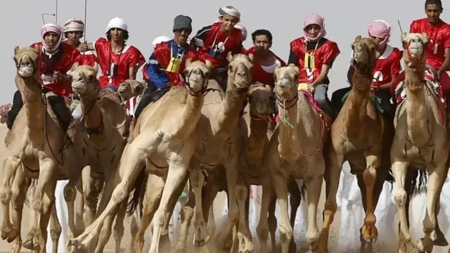 মরুভূমিতে উটের রেস