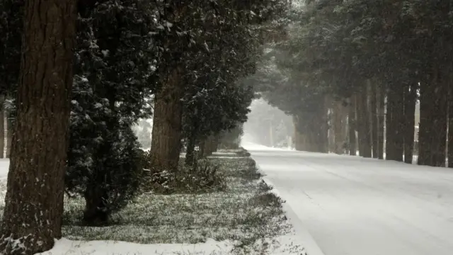 اولین برف در هرات