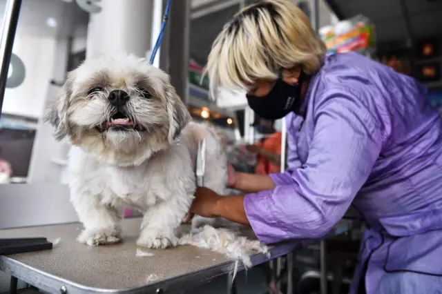 กรุงเทพ โควิด 19 ไวรัสโคโรนา เหงา เคอร์ฟิว curfew bangkok coronavirus
