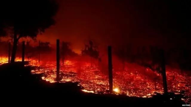 कैलिफॉर्निया