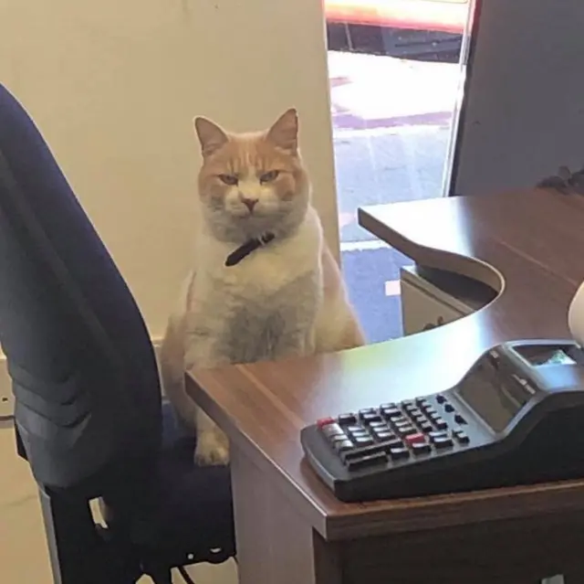 Уилбур в офисе финансовой организации